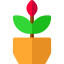 Plant ícone 64x64