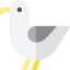 Seagull biểu tượng 64x64