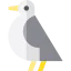 Seagull Ikona 64x64