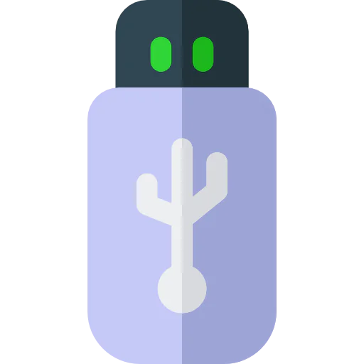 Flash drive Symbol