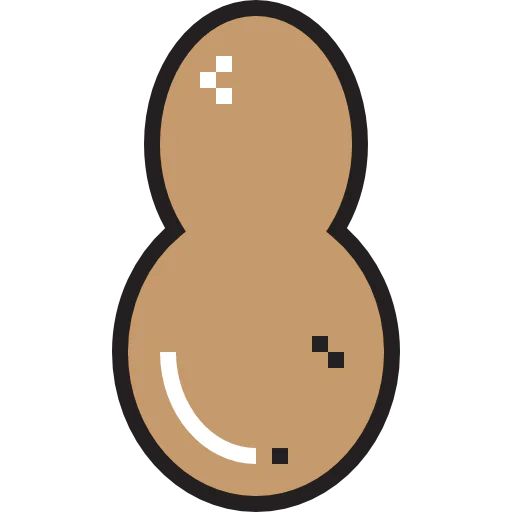 Nut icon