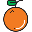 Orange Ikona 64x64