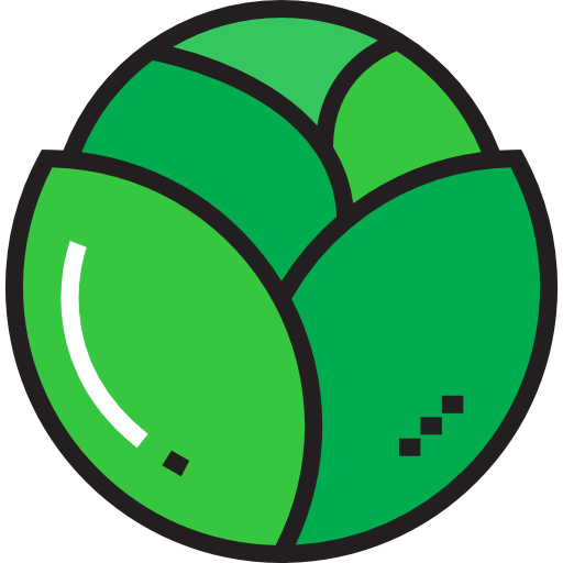 Cabbage icon