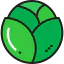 Cabbage Ikona 64x64
