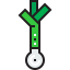 Leek Ikona 64x64
