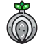 Onion Ikona 64x64