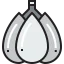 Clove garlic icon 64x64
