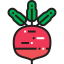 Radish アイコン 64x64