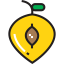 Peach Ikona 64x64