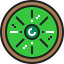 Kiwi Ikona 64x64
