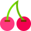 Cherry icon 64x64