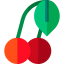 Cherry 图标 64x64
