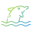 Dolphin 图标 64x64
