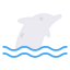 Dolphin アイコン 64x64