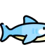 Shark 图标 64x64