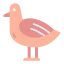 Seagull アイコン 64x64
