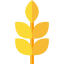 Wheat icon 64x64
