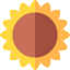Sunflower icon 64x64