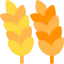 Wheat icon 64x64