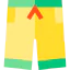 Swimsuit icon 64x64