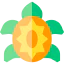 Tortoise icon 64x64