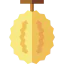 Durian іконка 64x64