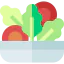 Salad icon 64x64