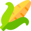 Corn icon 64x64