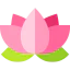Lotus icon 64x64