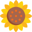 Sunflower icon 64x64