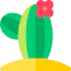 Cactus icon 64x64