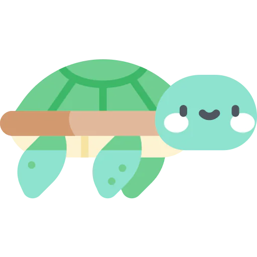 Turtle 상