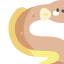 Eel 图标 64x64