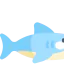 Shark 图标 64x64