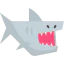 Shark icône 64x64