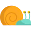 Snail icône 64x64