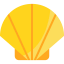 Shell icône 64x64