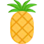 Pineapple icon 64x64