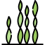 Seaweed icon 64x64