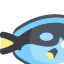 Surgeon fish 图标 64x64
