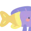 Fish 图标 64x64