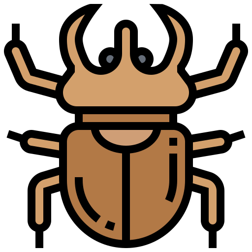 Beetle icon