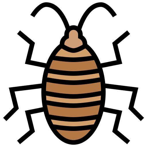 Cockroach icon