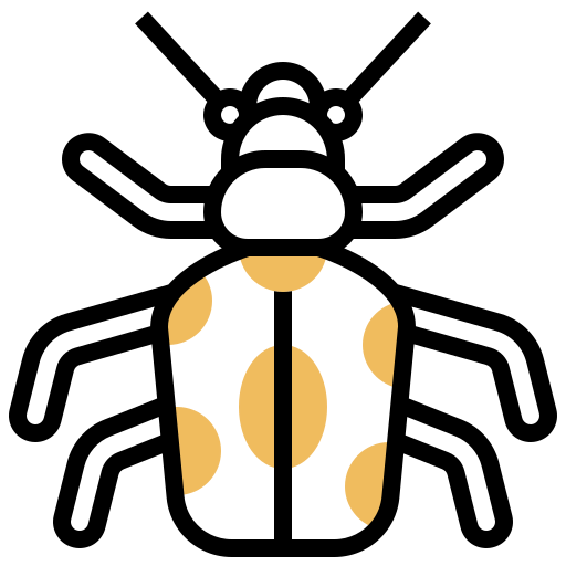 Beetle icon