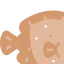 Flounder 图标 64x64