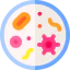 Bacteria icon 64x64