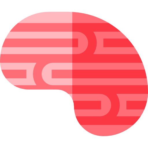Brain icon
