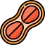 Peanut icon 64x64
