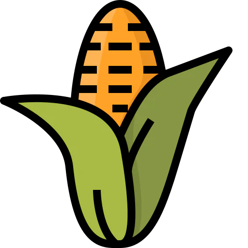 Corn icon