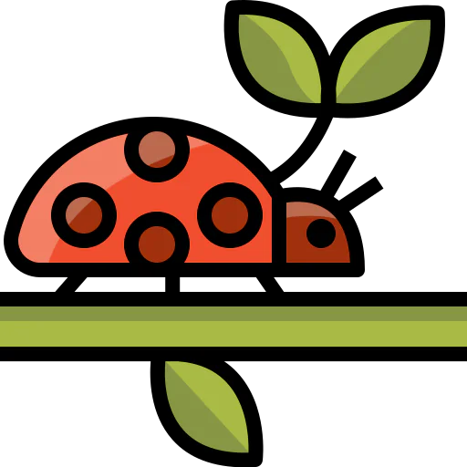 Ladybug icon